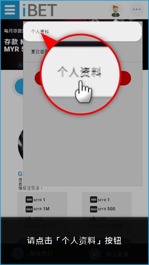 iBET手机版新手指南-红利赠点记录查询-个人资料 iBET手机版新手指南-红利赠点记录查询-个人资料