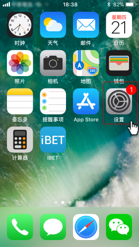 iBET iOS 安装流程2