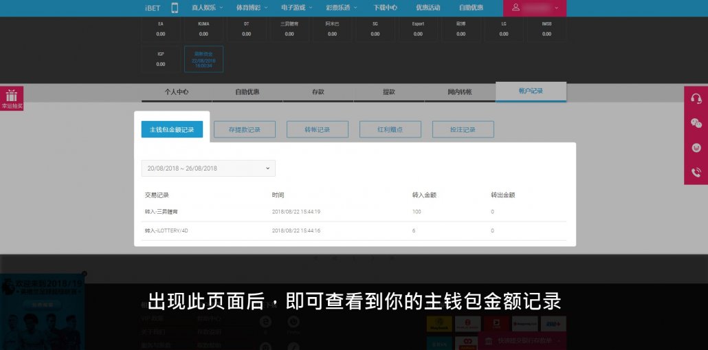 iBET新手指南电脑版-教你如何查询主钱包金额记录