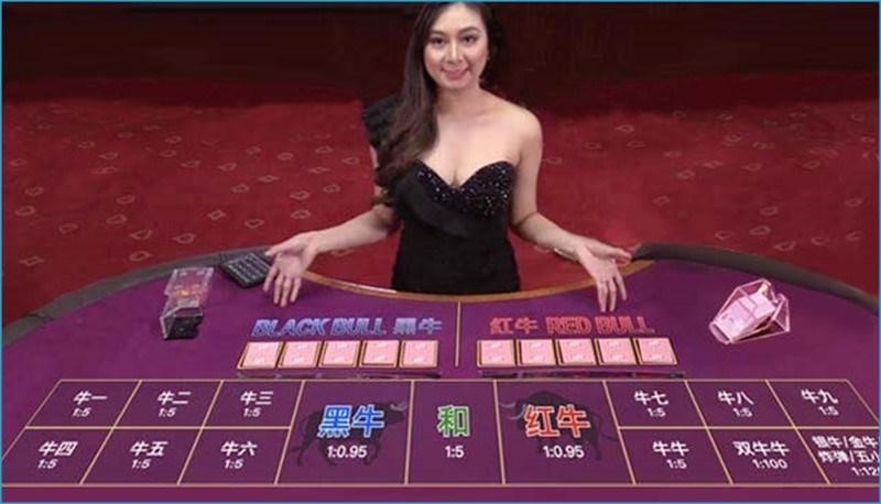 Malaysia Entertainment Hub Diverse Niu Niu Gaming Platforms