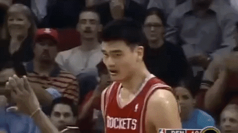 The Year of the Yao