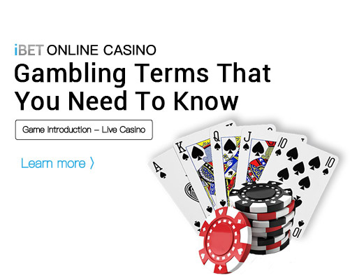 i8 (iBET)-ONLINE-CASINO-Gambling-Terms-That-You-Need-To-Know iBET-ONLINE-CASINO-Gambling-Terms-That-You-Need-To-Know