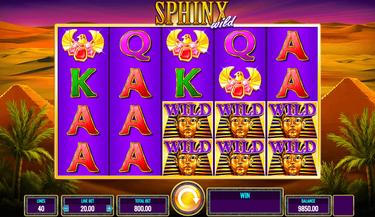 10 Slot Machines Terminology That You Should Know - Wild