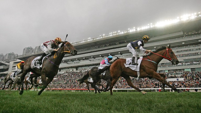 Highest Horse Racing Betting Revenue