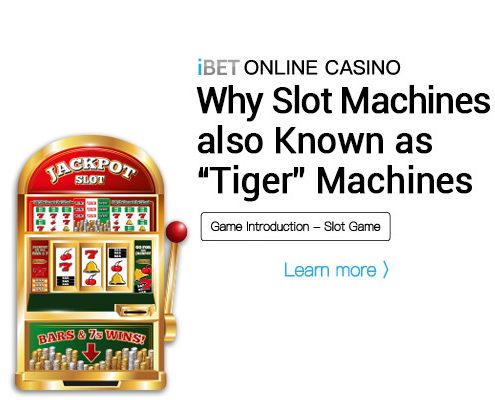 iBET-Online-Casino-Why-Slot-Machines-(also)-Known-as-“Tiger”-Machine