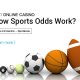How-Sports-Odds-Work